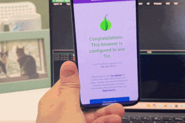 研究人员展示：单次访问恶意网页即可攻陷 Tor 浏览器