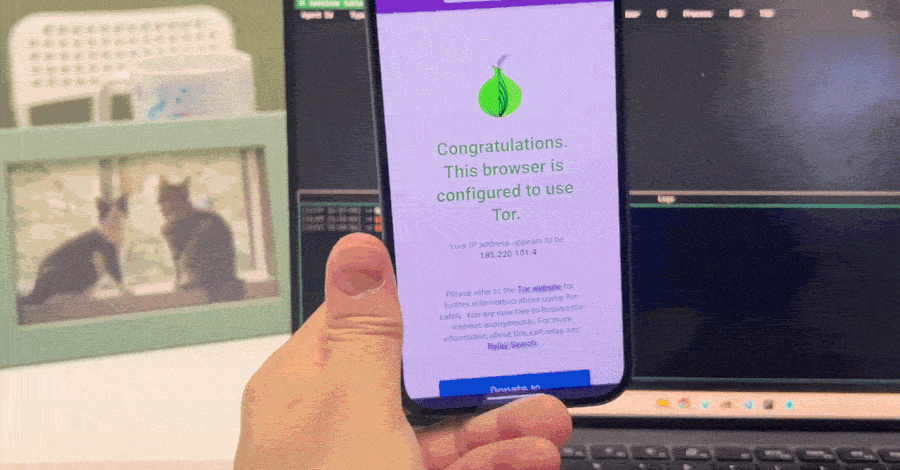 研究人员展示：单次访问恶意网页即可攻陷 Tor 浏览器