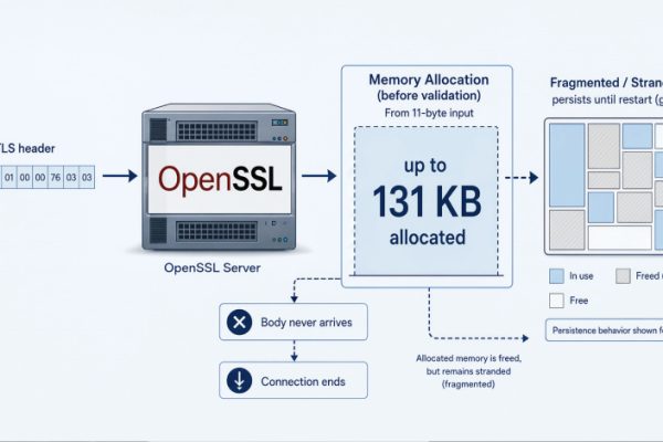 OpenSSL HollowByte漏洞可用11字节TLS请求冻结服务器内存